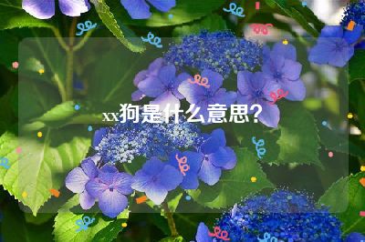 xx狗是什么意思？
