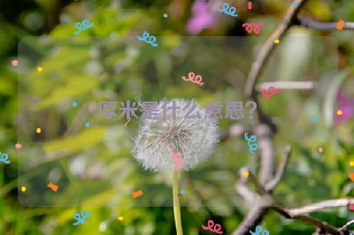 厚米是什么意思？