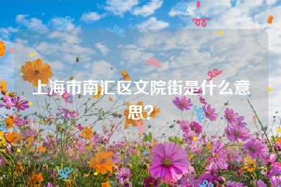 上海市南汇区文院街是什么意思？