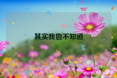 其实我也不知道
