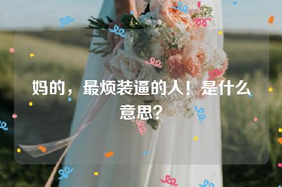 妈的，最烦装逼的人！是什么意思？