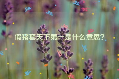 假猪套天下第一是什么意思？