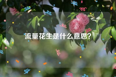 流量花生是什么意思？