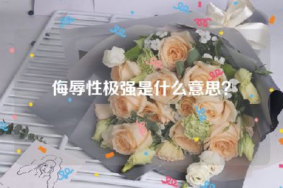 侮辱性极强是什么意思？