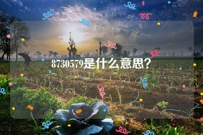 8730579是什么意思？