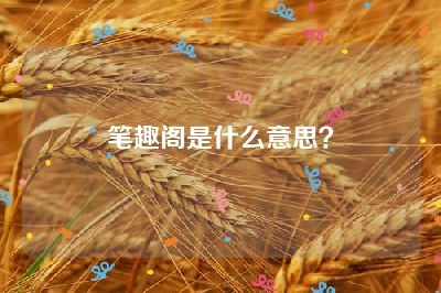 笔趣阁是什么意思？
