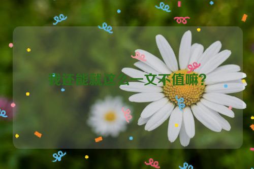 我还能就这么一文不值嘛？