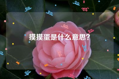 摸摸蛋是什么意思？