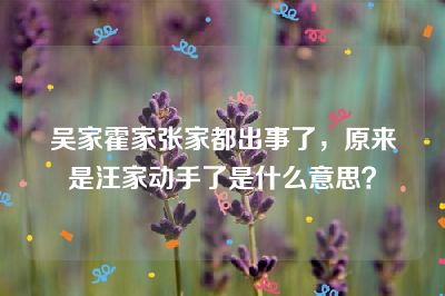 吴家霍家张家都出事了，原来是汪家动手了是什么意思？