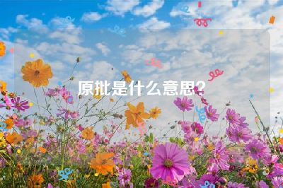 原批是什么意思？