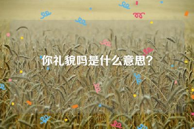 你礼貌吗是什么意思？