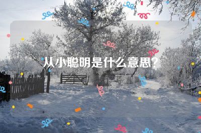 从小聪明是什么意思？