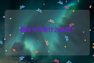 藏狐小亮是什么意思？