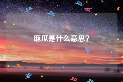 麻瓜是什么意思？