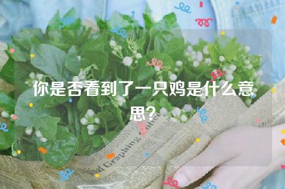 你是否看到了一只鸡是什么意思？