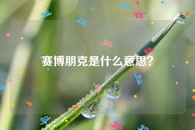 赛博朋克是什么意思？