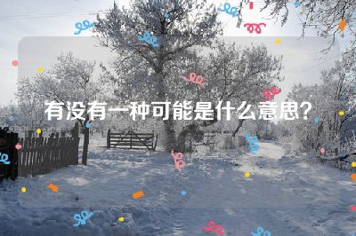 有没有一种可能是什么意思？