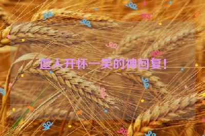 逗人开怀一笑的神回复！