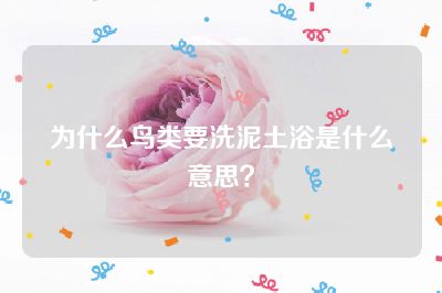 为什么鸟类要洗泥土浴是什么意思？