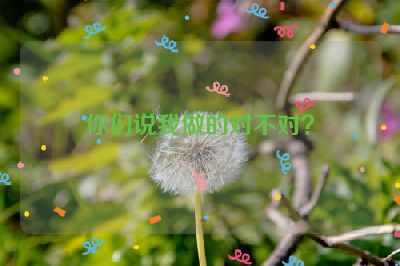 你们说我做的对不对？