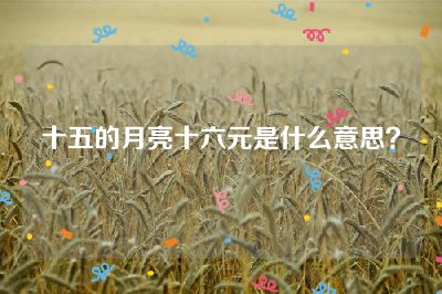 十五的月亮十六元是什么意思？