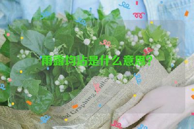 雨露均沾是什么意思？