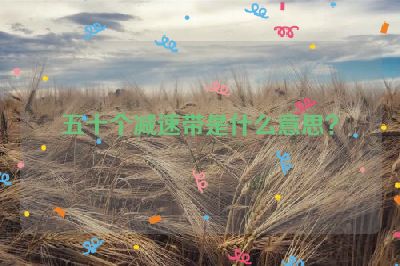 五十个减速带是什么意思？