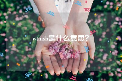 wtmsb是什么意思？