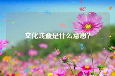 文化贱叠是什么意思？