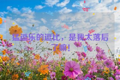 猛逗乐的逗比，是我太落后了嘛！