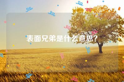 表面兄弟是什么意思？