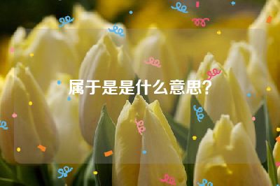属于是是什么意思？