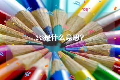 233是什么意思？