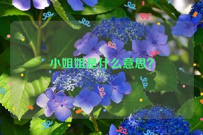 小姐姐是什么意思？