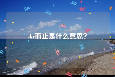 skr而止是什么意思？