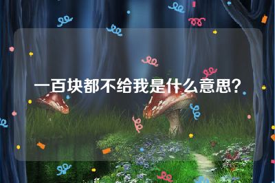 一百块都不给我是什么意思？