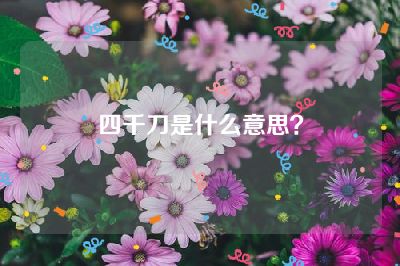 四千刀是什么意思？