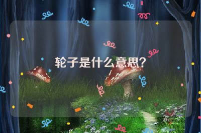 轮子是什么意思？