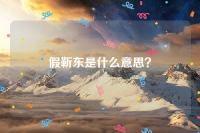 假靳东是什么意思？