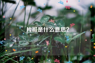 片哥是什么意思？