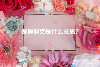 赛博迪克是什么意思？