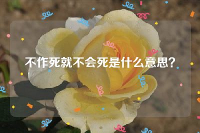 不作死就不会死是什么意思？