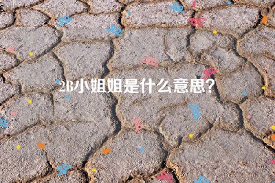 2B小姐姐是什么意思？
