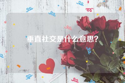 垂直社交是什么意思？