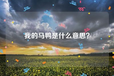 我的马鸭是什么意思？