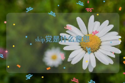 skip党是什么意思