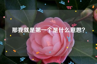 那我就是第一个是什么意思？