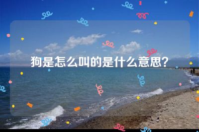 狗是怎么叫的是什么意思？