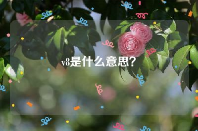 v8是什么意思？