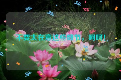 不要太在意这些细节，呵呵！